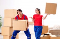 מכרז הובלות